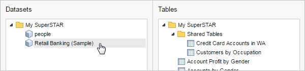 The Retail Banking dataset with the SuperSTAR Database Server folder name changed to My SuperSTAR